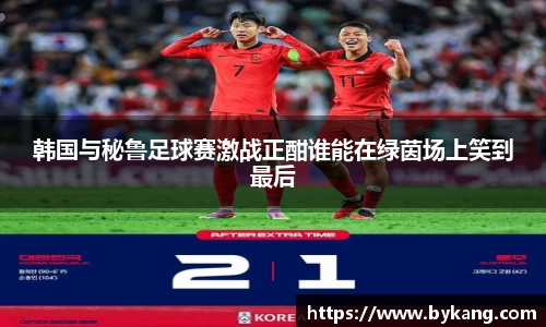 韩国与秘鲁足球赛激战正酣谁能在绿茵场上笑到最后